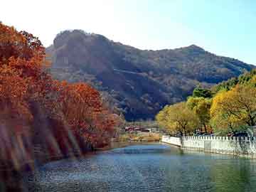 新澳天天开奖资料大全旅游团，野兔价格